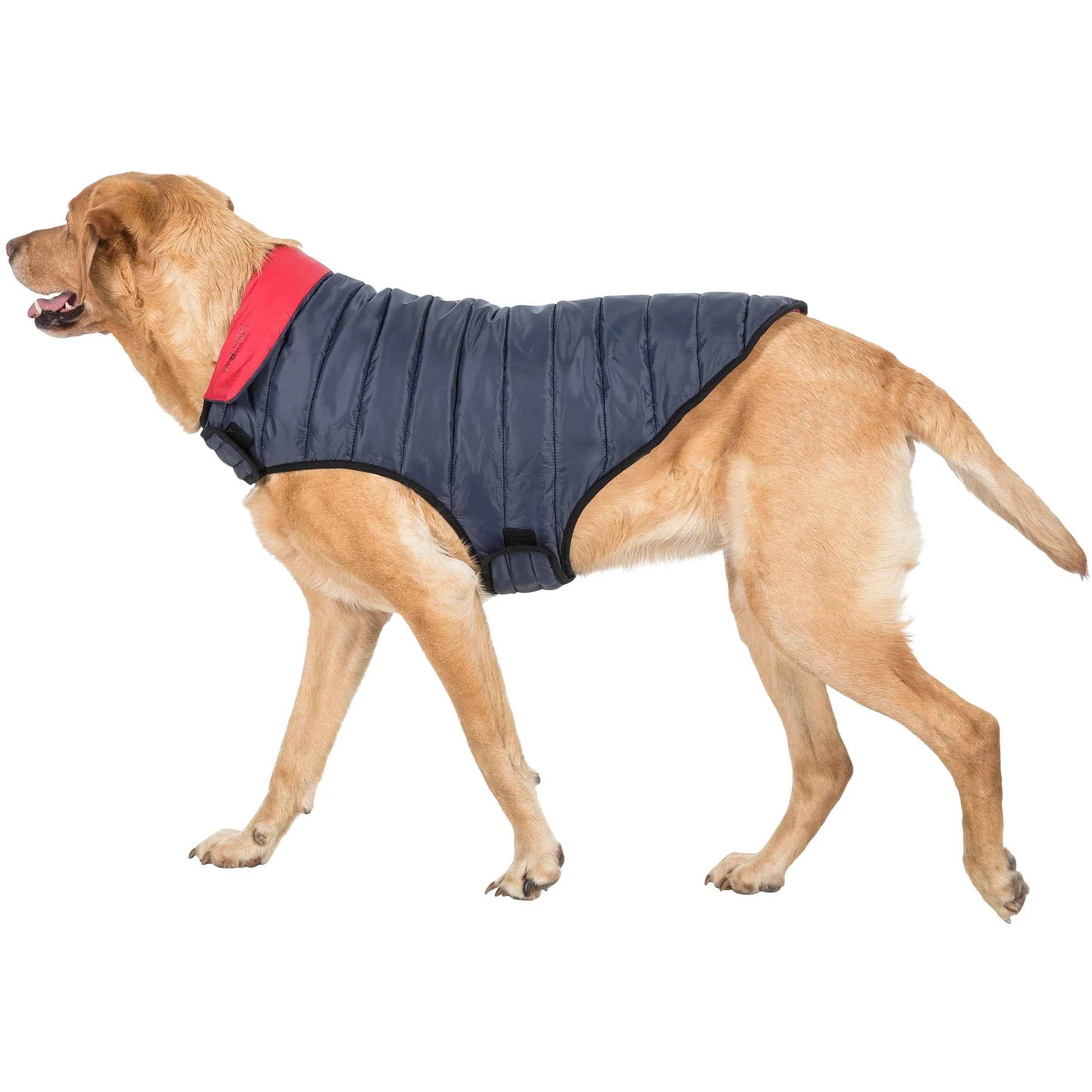 Kimmi Quilted Reversible Packaway Dog Coat - Flint