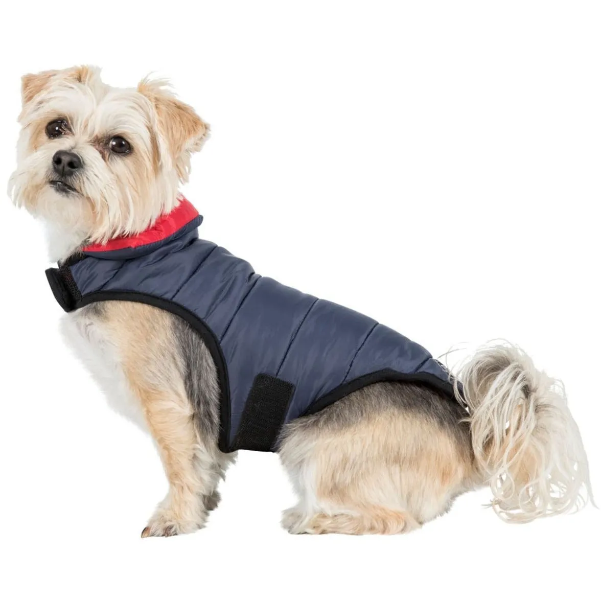 Kimmi Quilted Reversible Packaway Dog Coat - Flint