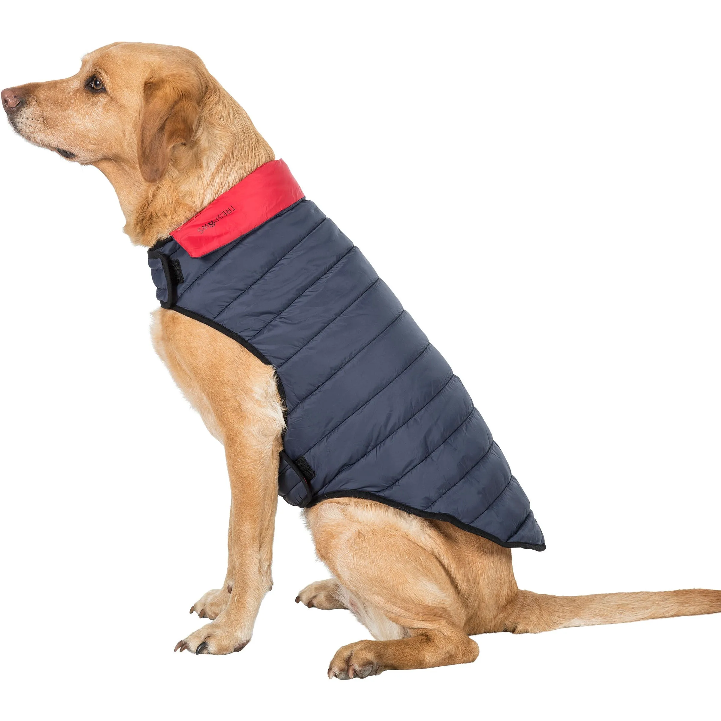 Kimmi Quilted Reversible Packaway Dog Coat - Flint