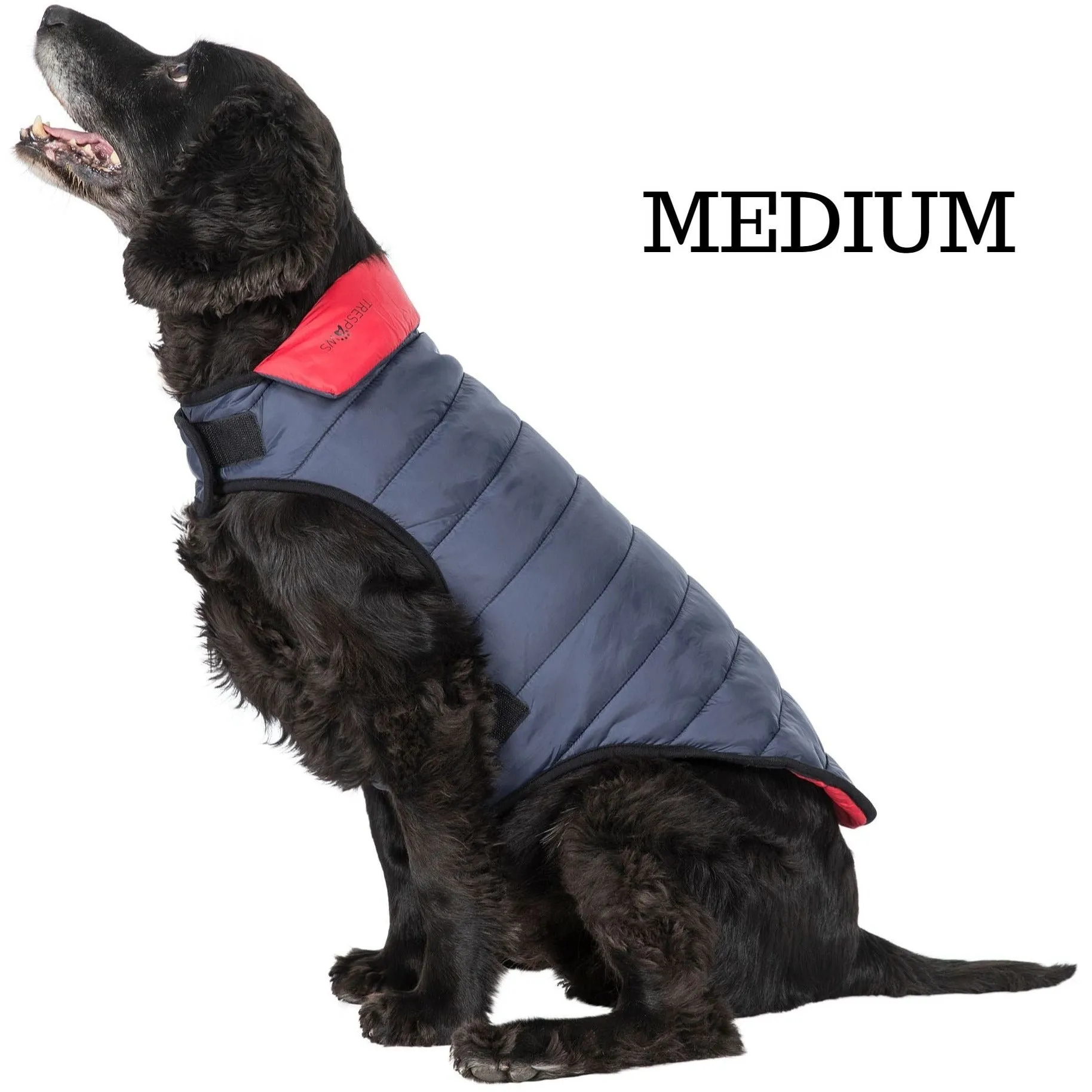 Kimmi Quilted Reversible Packaway Dog Coat - Flint