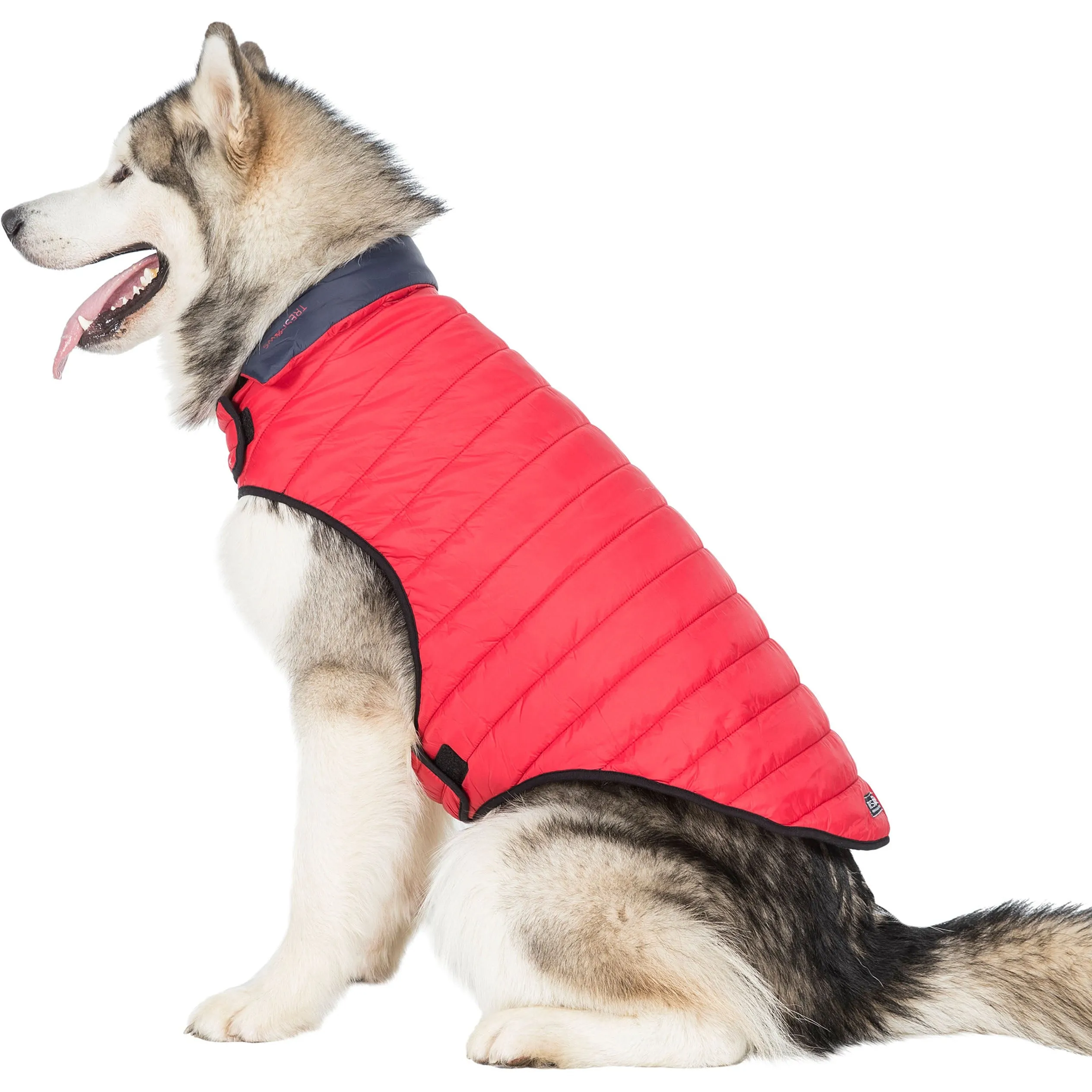 Kimmi Quilted Reversible Packaway Dog Coat - Flint