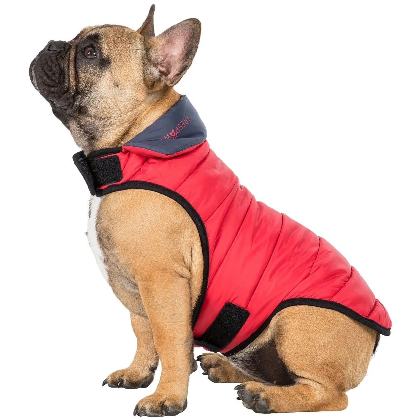 Kimmi Quilted Reversible Packaway Dog Coat - Flint