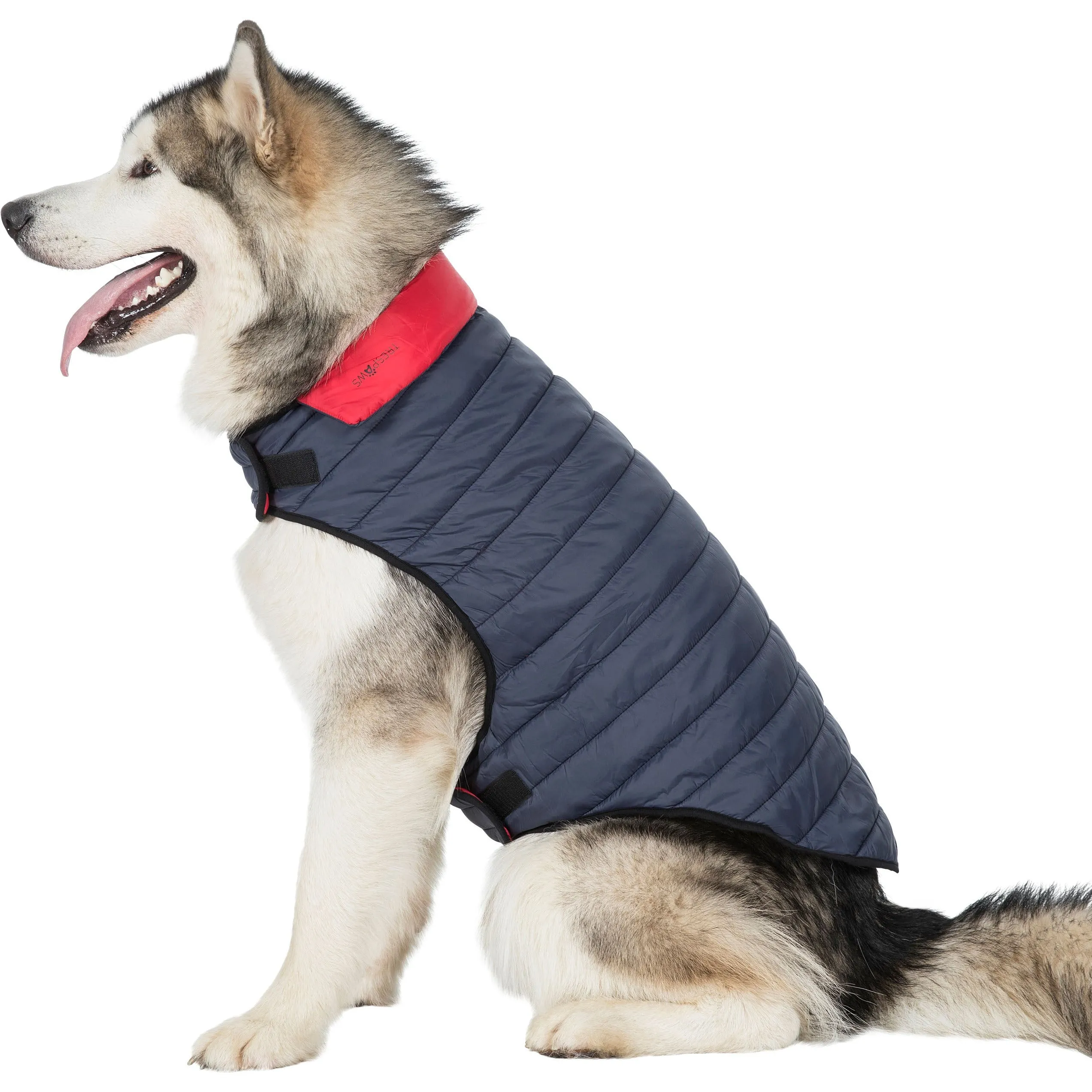 Kimmi Quilted Reversible Packaway Dog Coat - Flint