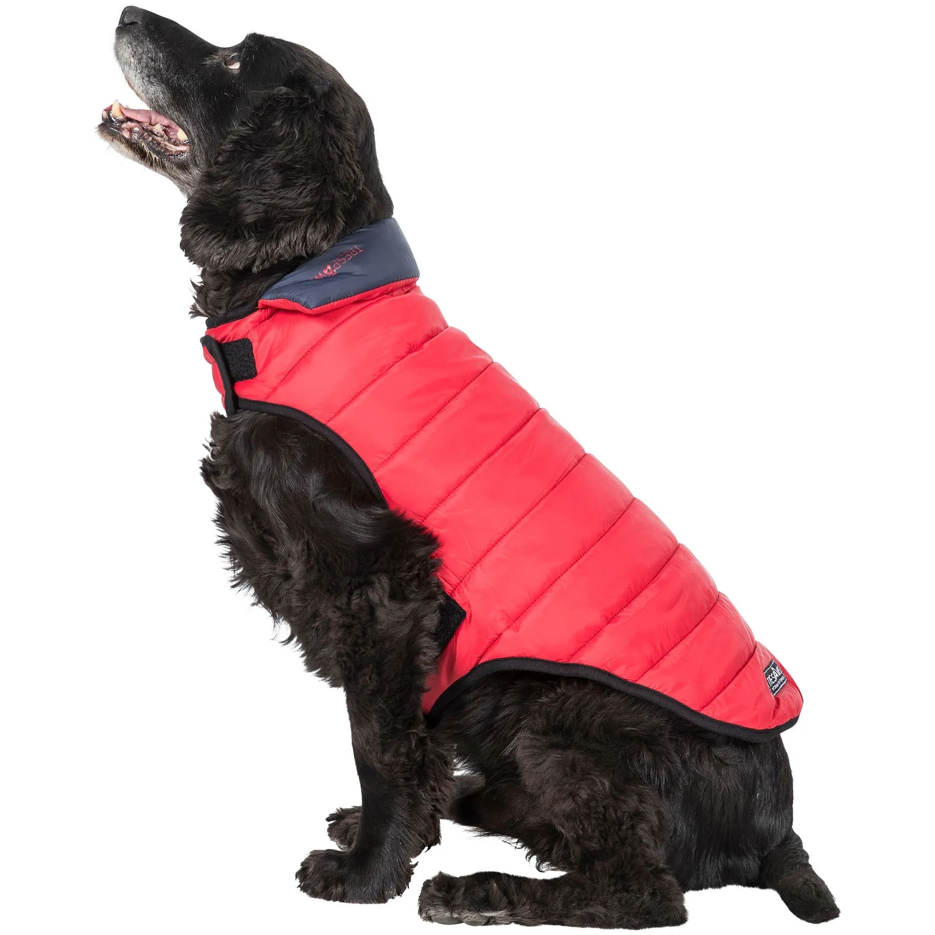 Kimmi Quilted Reversible Packaway Dog Coat - Flint