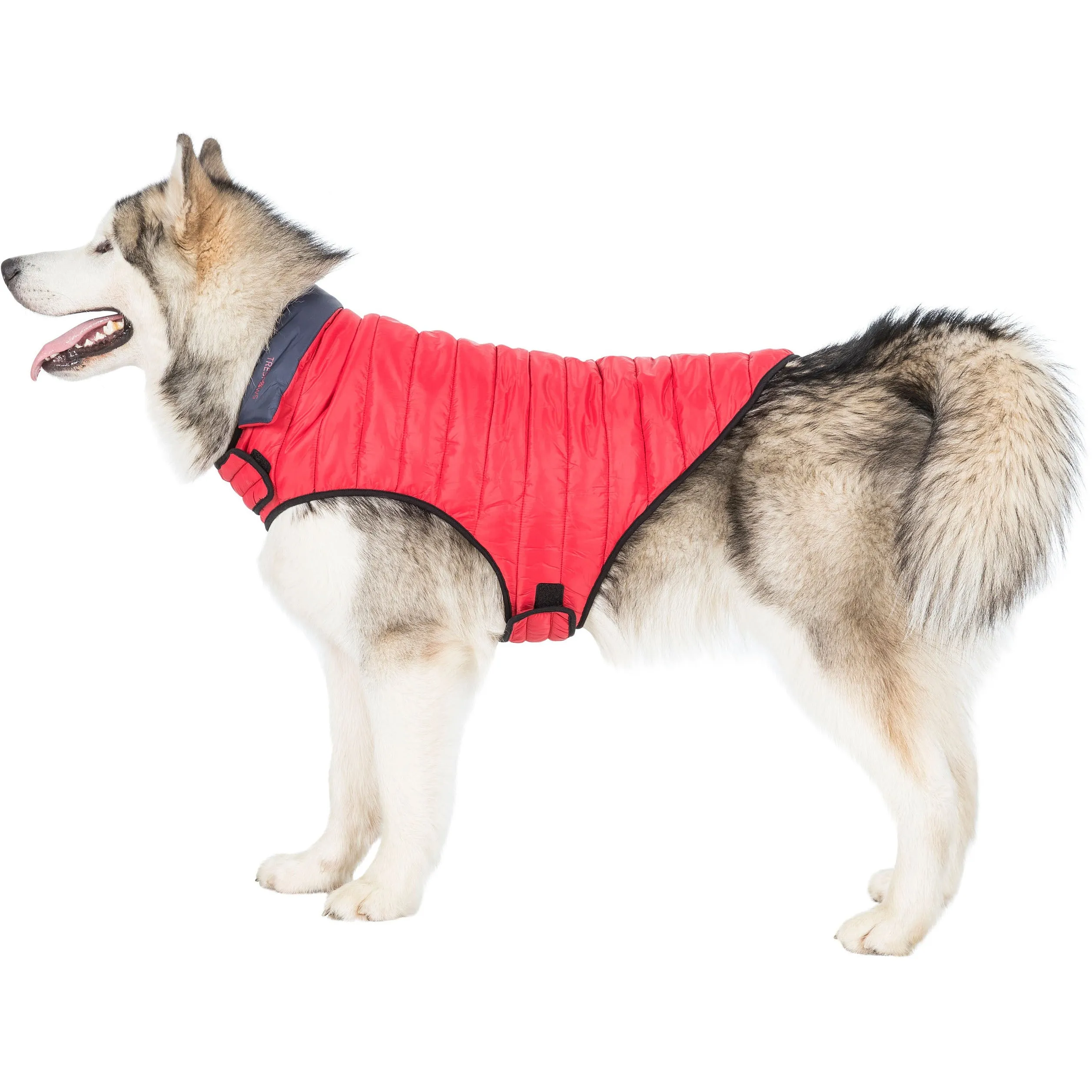 Kimmi Quilted Reversible Packaway Dog Coat - Flint