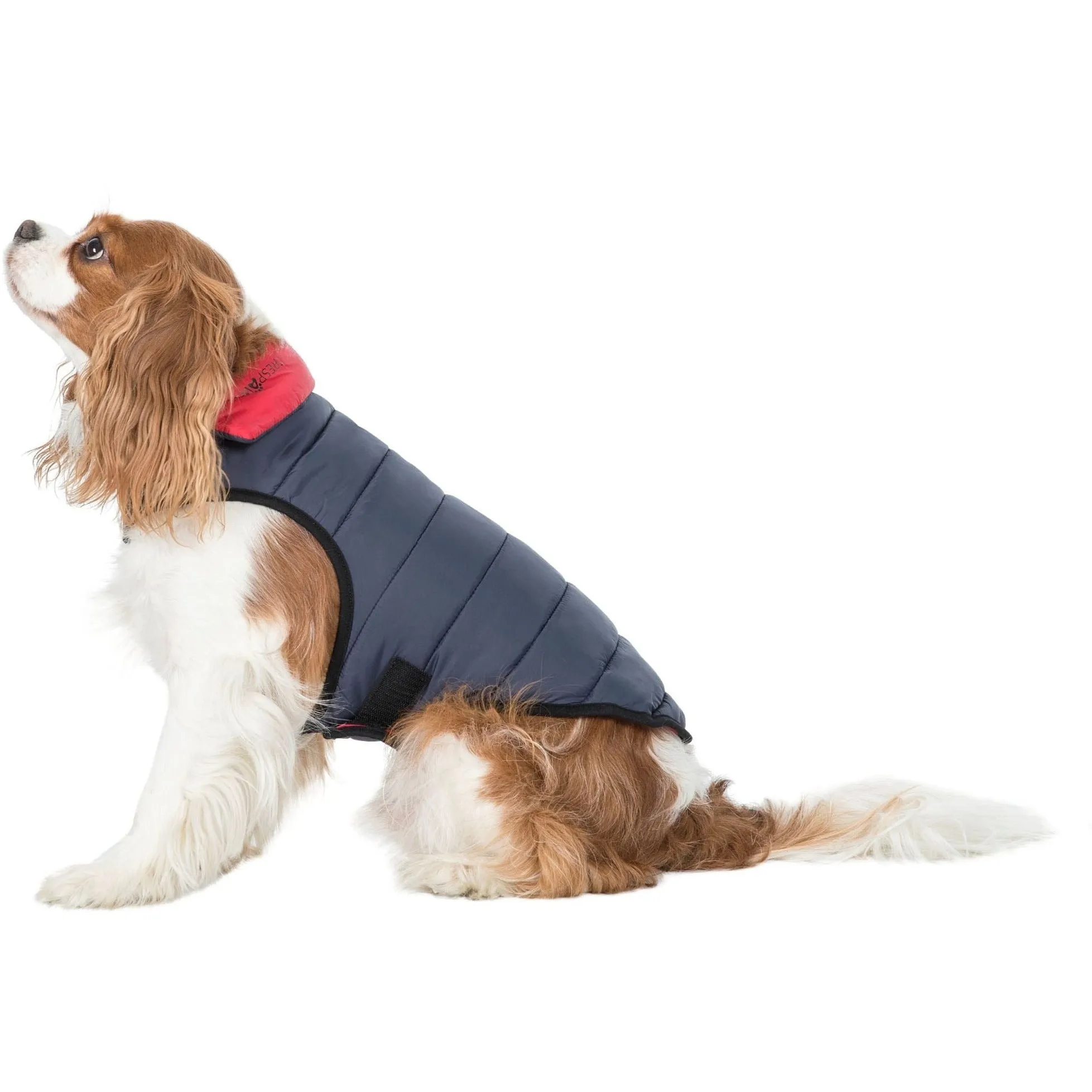 Kimmi Quilted Reversible Packaway Dog Coat - Flint