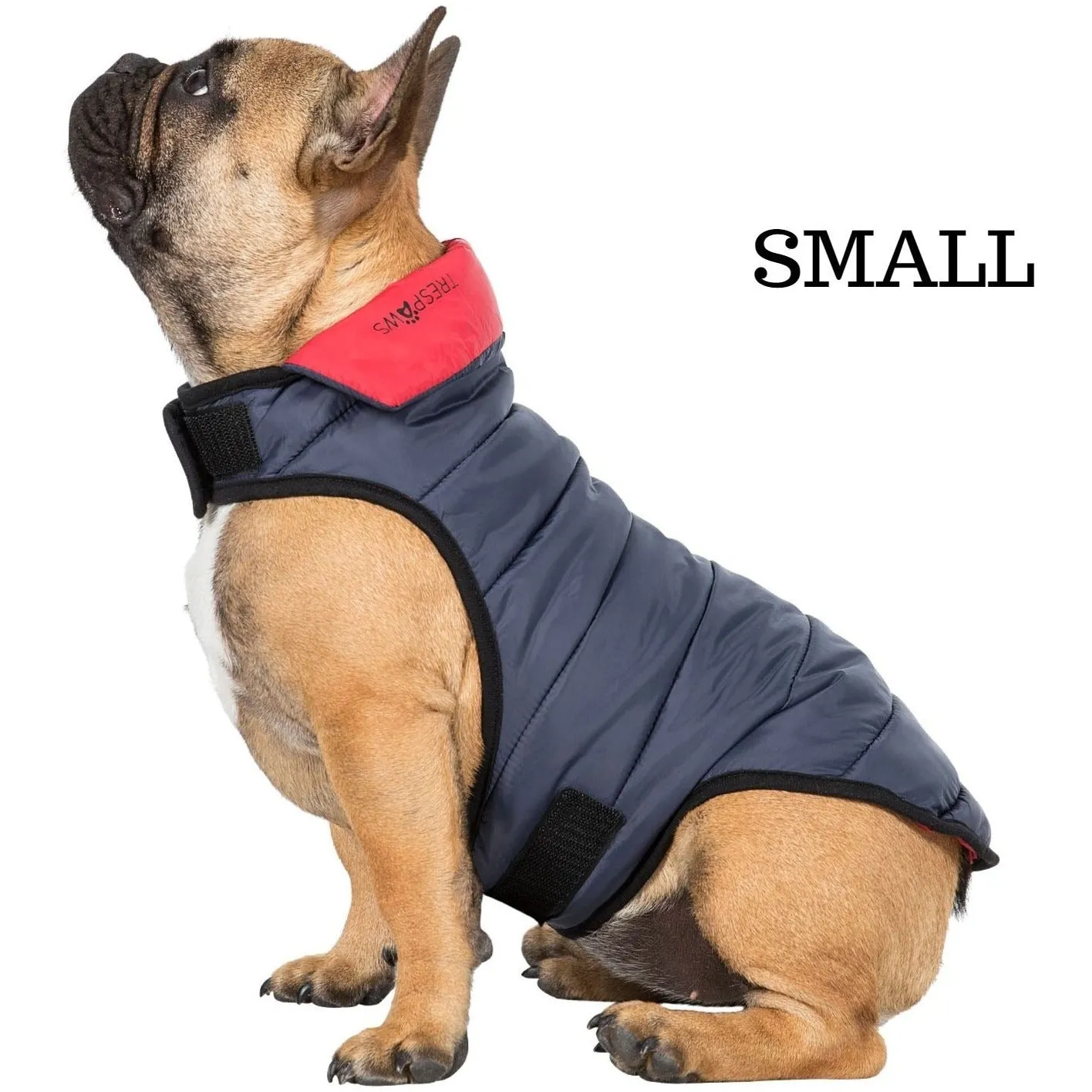 Kimmi Quilted Reversible Packaway Dog Coat - Flint